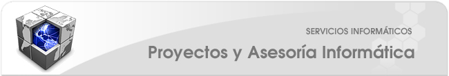 Servicios Informáticos - Proyectos y Asesoría Informática